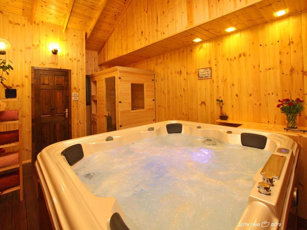 Suites & Spa Galilee Kirjat Smóna Kültér fotó
